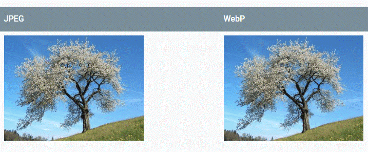 D:\Documents\Pictures\1-inpainted.png