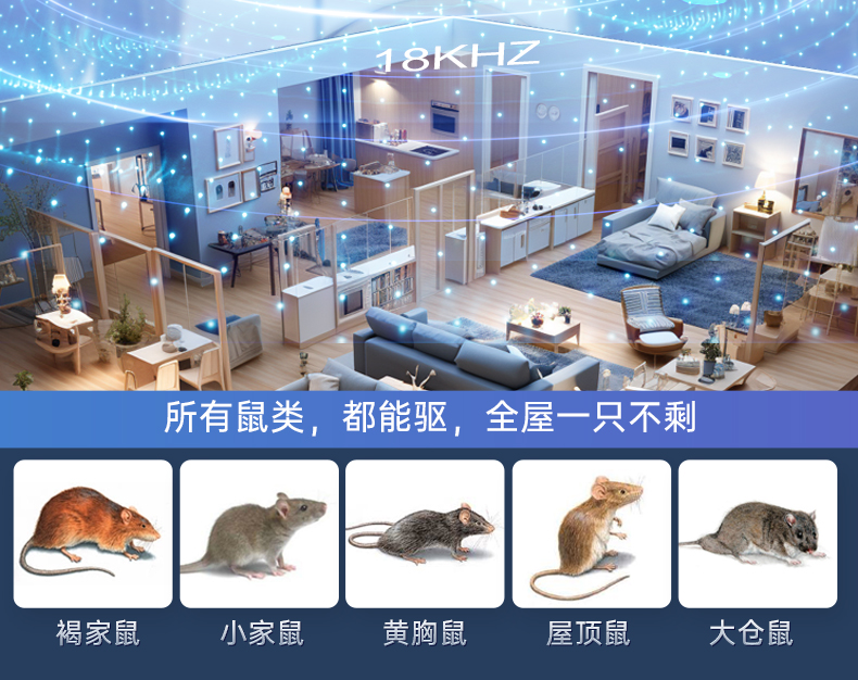 图形用户界面, 网站 描述已自动生成