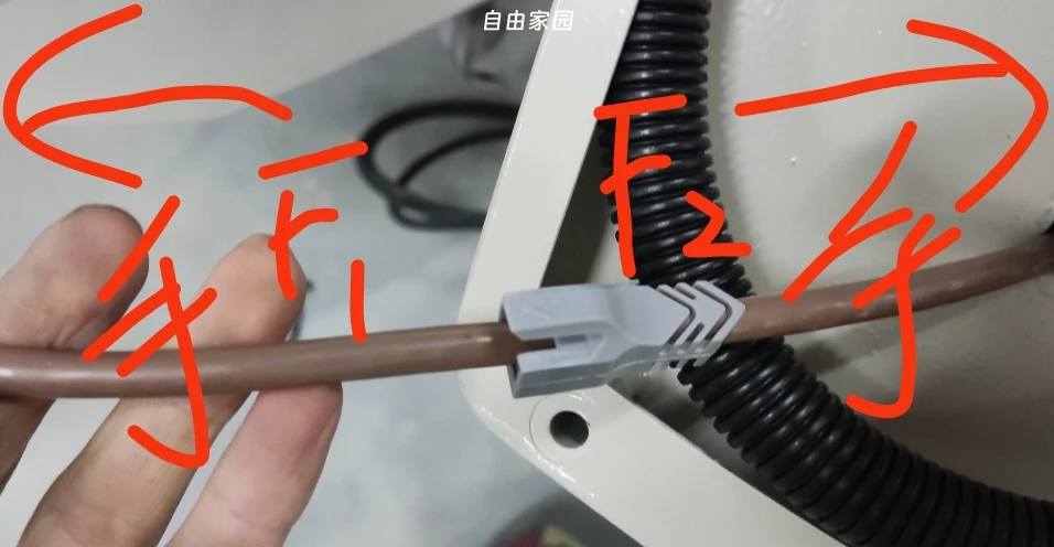 图片10