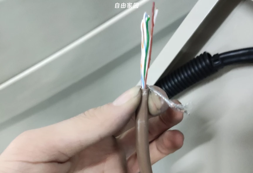 图片11